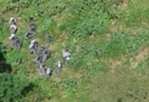 Águia 02 do Ciopaer/MT localiza assaltante em mata