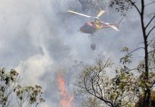 Arcanjo combate incêncio no Parque Rola Moça