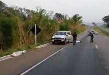 GRAer da PM de Goiás persegue caminhonete roubada e prende suspeito – veja o vídeo