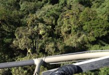 Atleta sofre acidente de parapente ao decolar em Jaraguá do Sul e é resgatado pelo Águia