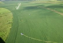 Helicóptero da PRF apreende veículos com cigarros contrabandeados em Foz do Iguaçu/PR