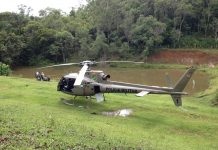 Águia resgata vítima de queda de cavalo