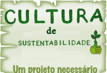 A sua organização de aviação vai se sustentar por quanto tempo?