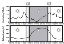 Estudo da fadiga na pilotagem de helicópteros