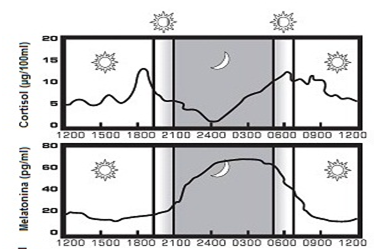 Estudo da fadiga na pilotagem de helicópteros