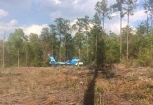Helicóptero que combatia incêndio florestal cai nos EUA