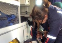 Indígena de 71 anos é resgatado por bombeiros no interior do Acre