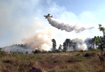 Avião é utilizado para combater incêndio de área verde na zona sul de Ribeirão Preto