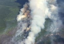 Helicóptero que combatia incêndio florestal cai próximo a Slave Lake/ Canadá