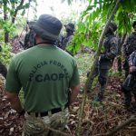 99fc55e5763270a0f6dc09358151d266