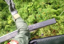 Após 20 horas perdido na mata, piloto de parapente é encontrado em Pomerode/SC