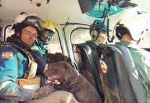 O trabalho do Corpo de Bombeiros de Santa Catarina com cães em Mariana/MG
