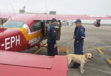 Cães de resgate de SC são enviados para buscas em Mariana (MG)