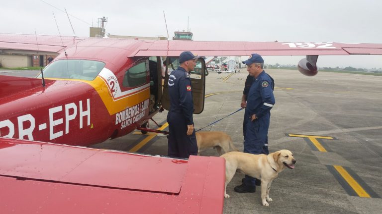 Cães de resgate de SC são enviados para buscas em Mariana (MG)