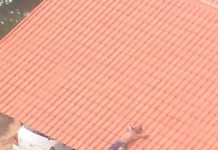 Águia localiza marginal sobre o telhado de chácara em Rio Preto