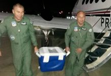 Grupamento Aéreo da PM de São Paulo realiza transporte de fígado para cirurgia em Rio Preto