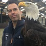 Polícia holandesa treina águias para abater drones