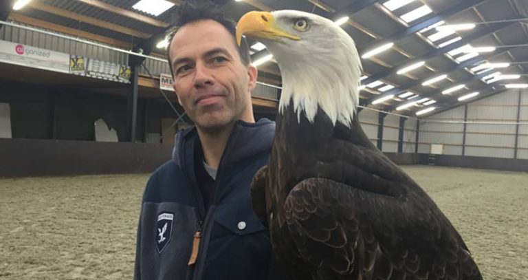 Polícia holandesa treina águias para abater drones