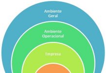 Impacto dos ambientes interno e externo nas OASP