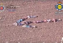 NPAS prende ladrões após ajuda inusitada de jovens ingleses