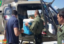 Águia da PM de Santa Catarina faz transporte de órgãos e ajuda a salvar vidas