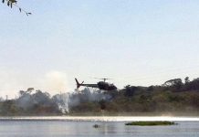 Águia da Base de Campinas realiza operação de combate à incêndio florestal