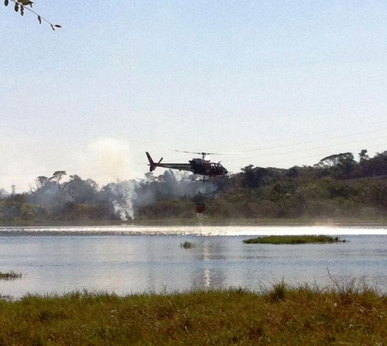 Águia da Base de Campinas realiza operação de combate à incêndio florestal