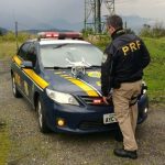 Com auxílio de drone, PRF identifica balão caído na Serra do Mar em Morretes (PR)