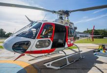 Transplante de órgãos: quando o tempo está a favor da vida