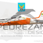 Embraer 312 AFA