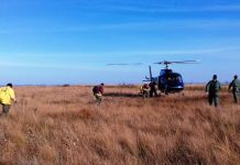 Trabalho conjunto entre União e Estado permite resposta rápida aos incêndios florestais