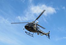 Esquilo da Polícia Civil do RS completa 1.000 horas de voo