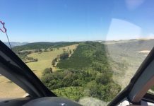 Canil e helicóptero da PM auxiliam buscas de criança perdida em Rio Branco do Ivaí