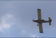 Força tarefa enfrenta incêndios florestais no Piauí