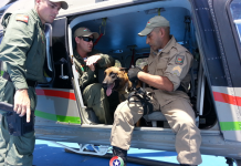 Canil do 12º BPM treina com o helicóptero Águia da Polícia Militar