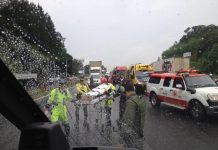 Águia 01 resgata vítima de atropelamento na BR-101