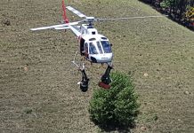 Águia 07 e Bombeiros resgatam vítimas de acidente de trânsito em área rural de Campos de Jordão