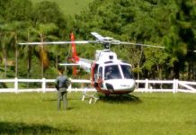 Águia resgata vítima de atropelamento em área rural do município de Monte Mor