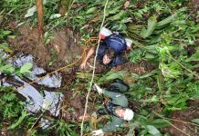 Águia realiza salvamento de duas pessoas perdidas na Serra do Mar, em Ubatuba