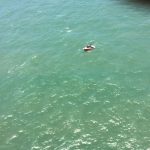 Águia 03 do CTA do Maranhão resgata tripulação de embarcação a deriva