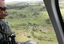 Delegacia de Polícia Civil de Miranorte recebe apoio do CIOPAER em ação de combate ao furto de gado