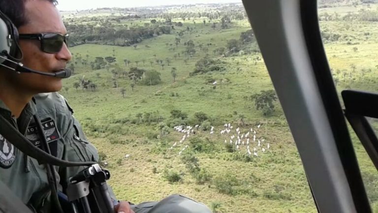 Delegacia de Polícia Civil de Miranorte recebe apoio do CIOPAER em ação de combate ao furto de gado