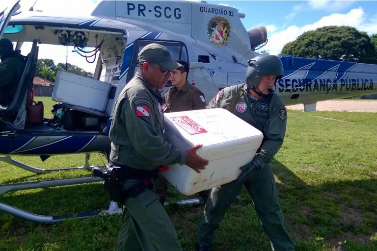 Operação de guerra impede o avanço da febre amarela no oeste paraense