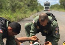 Guardião 02 da BAVAN/Barreiras resgata vítima de acidente na BA-463