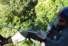 Águia da PM resgata parapentista que caiu em árvores no Norte de Santa Catarina