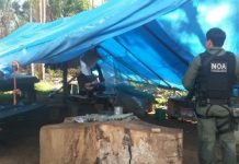 Policiais do Núcleo de Operações Aéreas participam de ações em apoio ao ICMBio