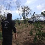 Centro Tático Aéreo participa da maior operação de erradicação do plantio de maconha no Maranhão