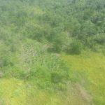Centro Tático Aéreo participa da maior operação de erradicação do plantio de maconha no Maranhão