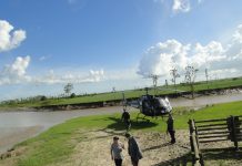 Operação conjunta da Polícia Militar, Polícia Civil e GTA, apreende na Região do Bailique búfalos furtados