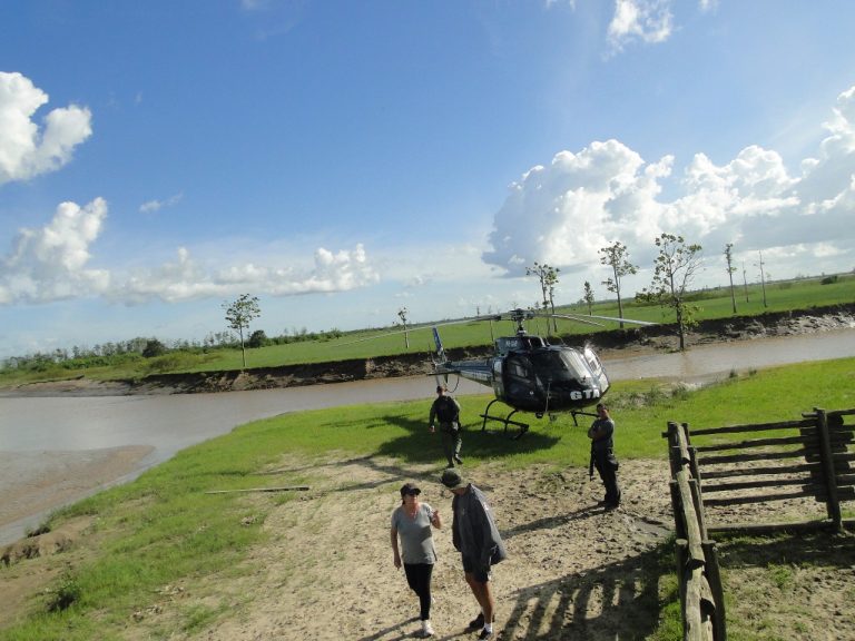 Operação conjunta da Polícia Militar, Polícia Civil e GTA, apreende na Região do Bailique búfalos furtados